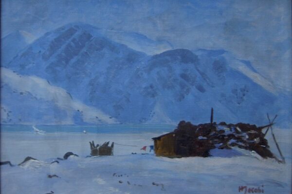 Bogpitch: To generationer i Grønland