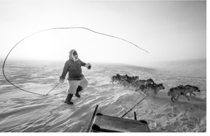 Østgrønlandsk fangstkultur – et fotoprojekt v. Carsten Egevang